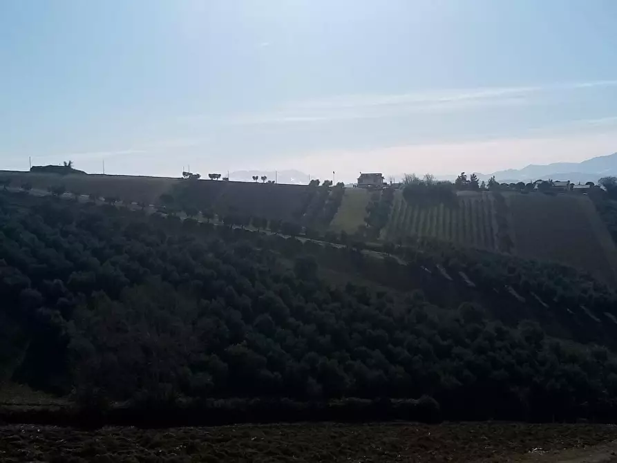 Immagine 7 di Rustico / casale in vendita  in CONTRADA COMMENDA a Ancarano