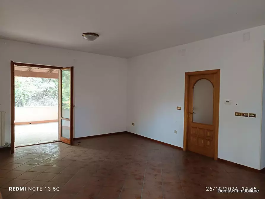 Immagine 2 di Casa indipendente in vendita  in SP a Ancarano