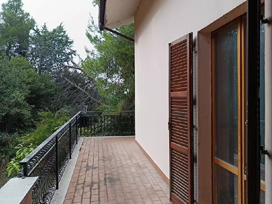 Immagine 8 di Casa indipendente in vendita  in SP a Ancarano