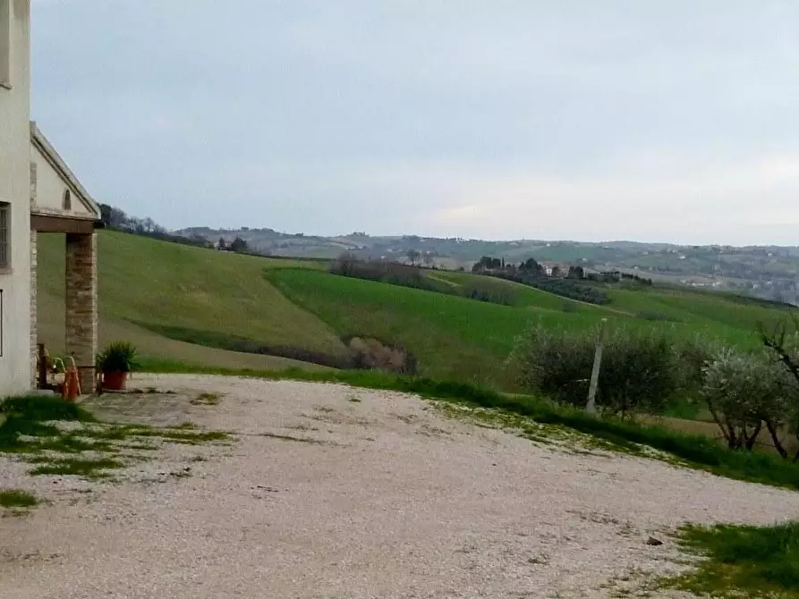 Immagine 12 di Rustico / casale in vendita  in VIA COLLINA a Barbara