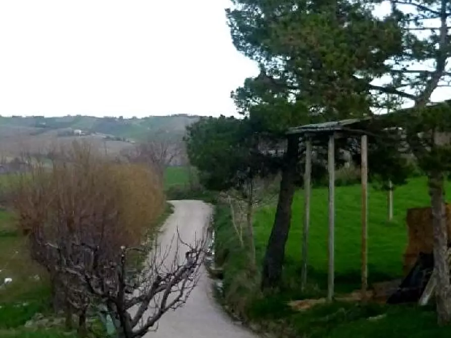 Immagine 14 di Rustico / casale in vendita  in VIA COLLINA a Barbara