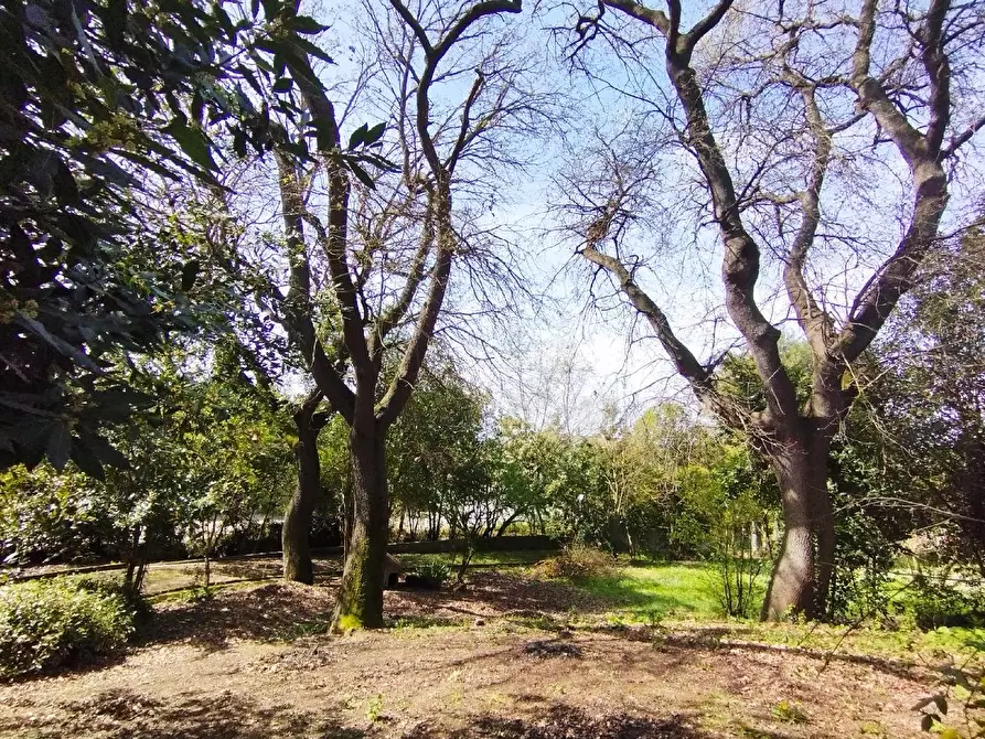 Immagine 1 di Rustico / casale in vendita  in BORGO BICCHIA a Senigallia