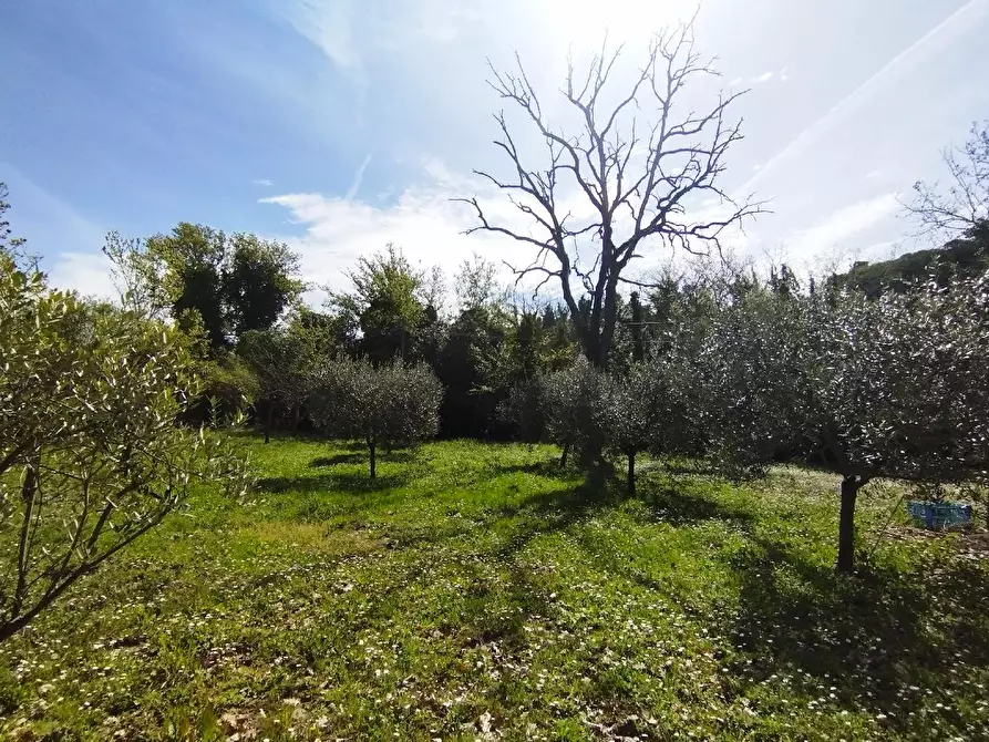 Immagine 6 di Rustico / casale in vendita  in BORGO BICCHIA a Senigallia