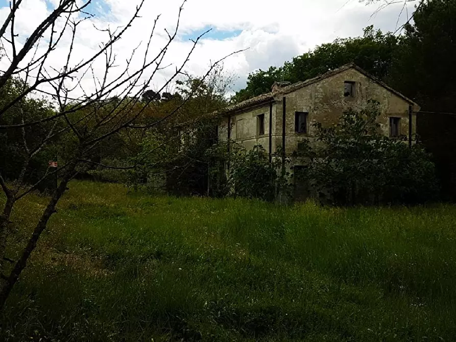 Immagine 10 di Rustico / casale in vendita  in BORGO BICCHIA a Senigallia