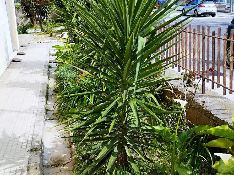 Immagine 5 di Appartamento in vendita  in ZONA POSTE a Montemarciano