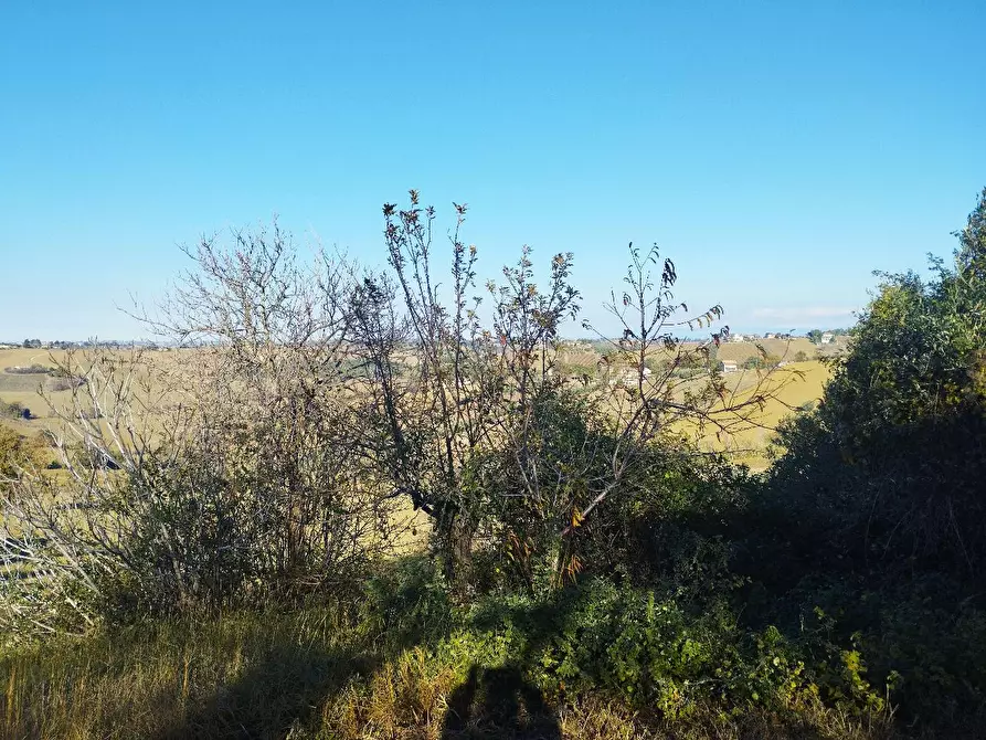 Immagine 2 di Rustico / casale in vendita  in VIA SANGUINETTI a Belvedere Ostrense