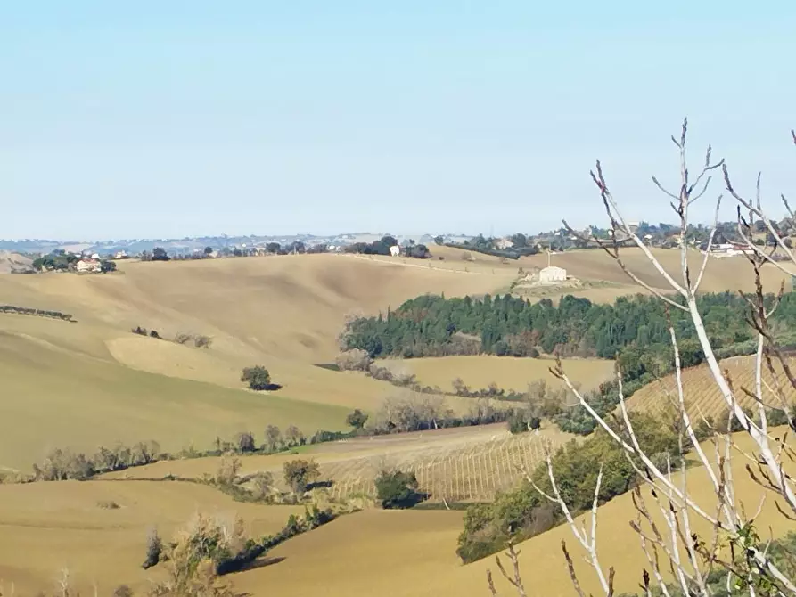 Immagine 3 di Rustico / casale in vendita  in VIA SANGUINETTI a Belvedere Ostrense