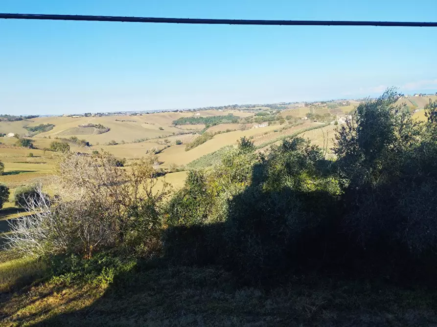 Immagine 5 di Rustico / casale in vendita  in VIA SANGUINETTI a Belvedere Ostrense