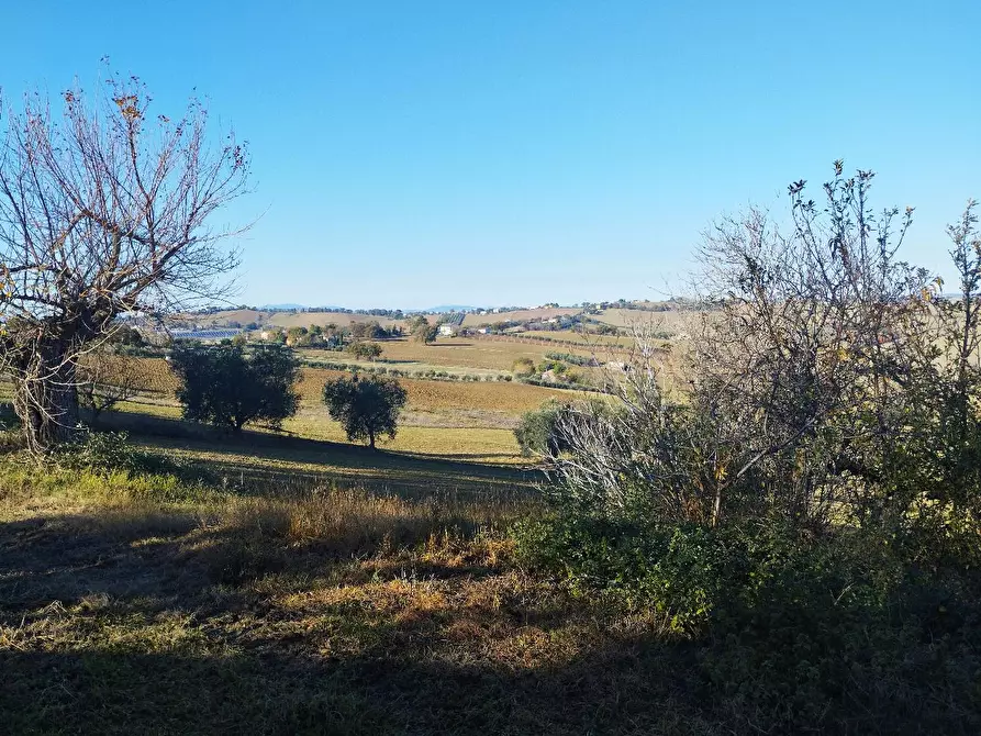 Immagine 7 di Rustico / casale in vendita  in VIA SANGUINETTI a Belvedere Ostrense