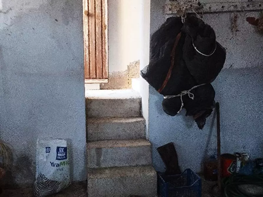 Immagine 11 di Rustico / casale in vendita  in VIA SANGUINETTI a Belvedere Ostrense