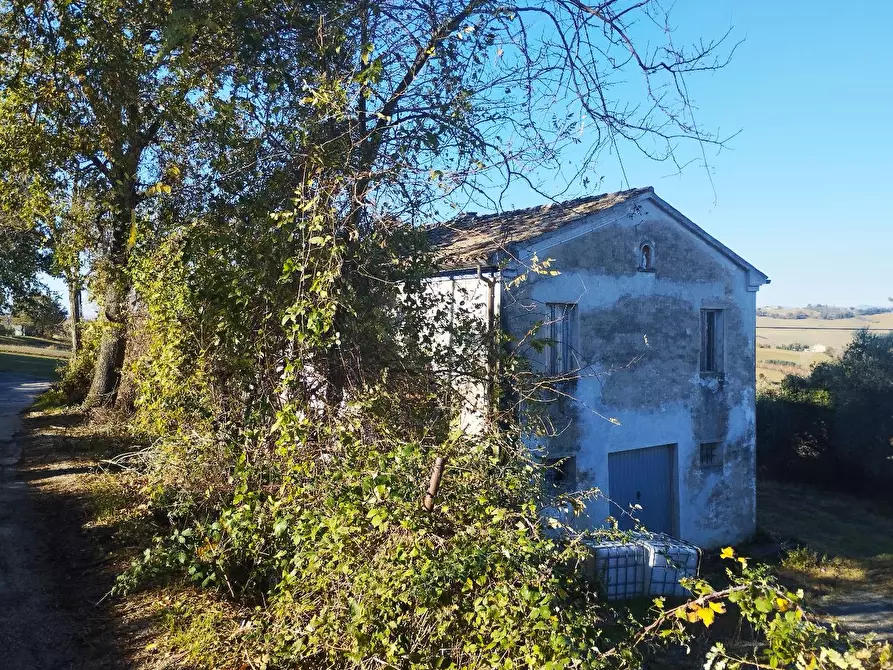 Immagine 12 di Rustico / casale in vendita  in VIA SANGUINETTI a Belvedere Ostrense