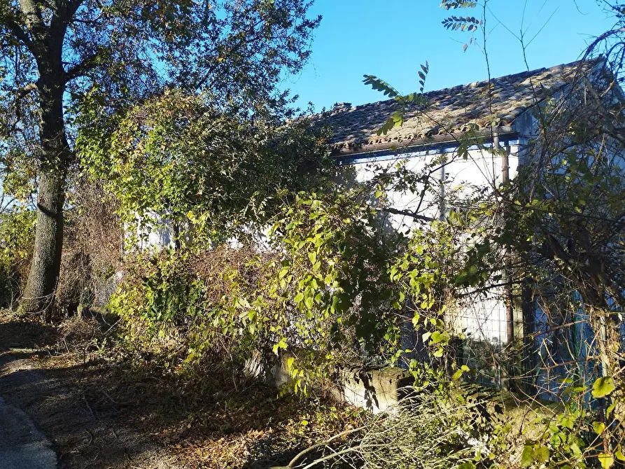 Immagine 23 di Rustico / casale in vendita  in VIA SANGUINETTI a Belvedere Ostrense