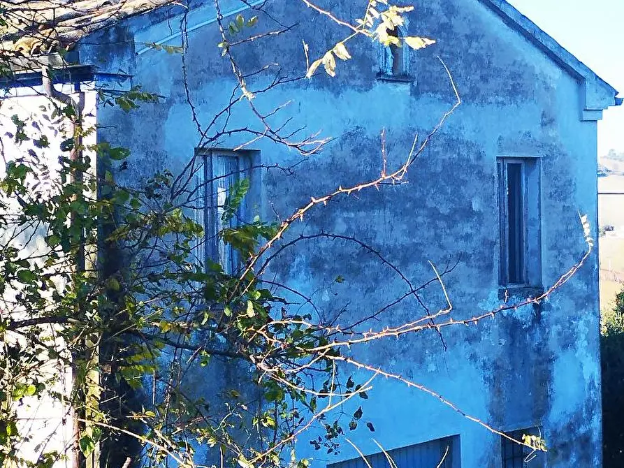 Immagine 26 di Rustico / casale in vendita  in VIA SANGUINETTI a Belvedere Ostrense