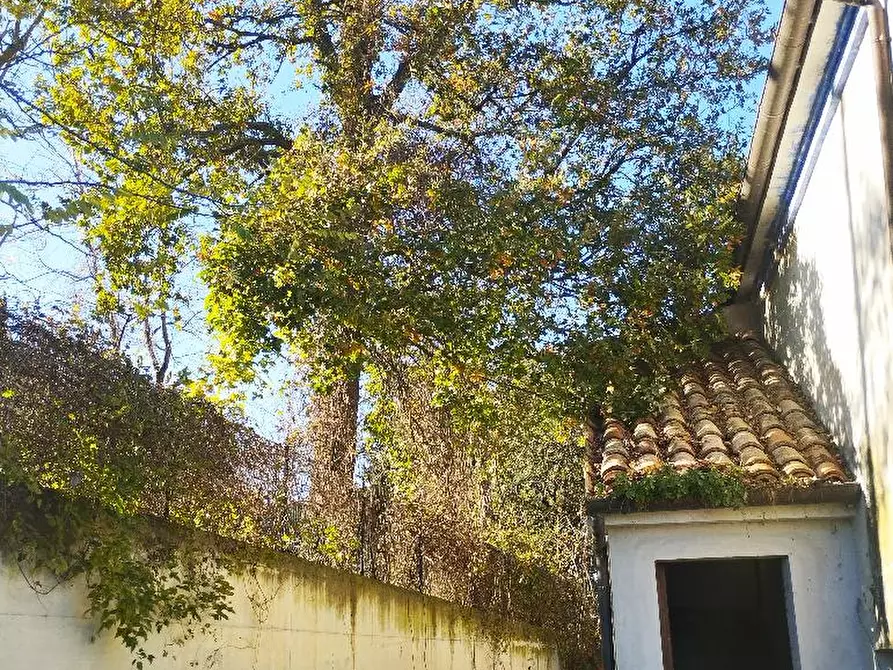 Immagine 27 di Rustico / casale in vendita  in VIA SANGUINETTI a Belvedere Ostrense