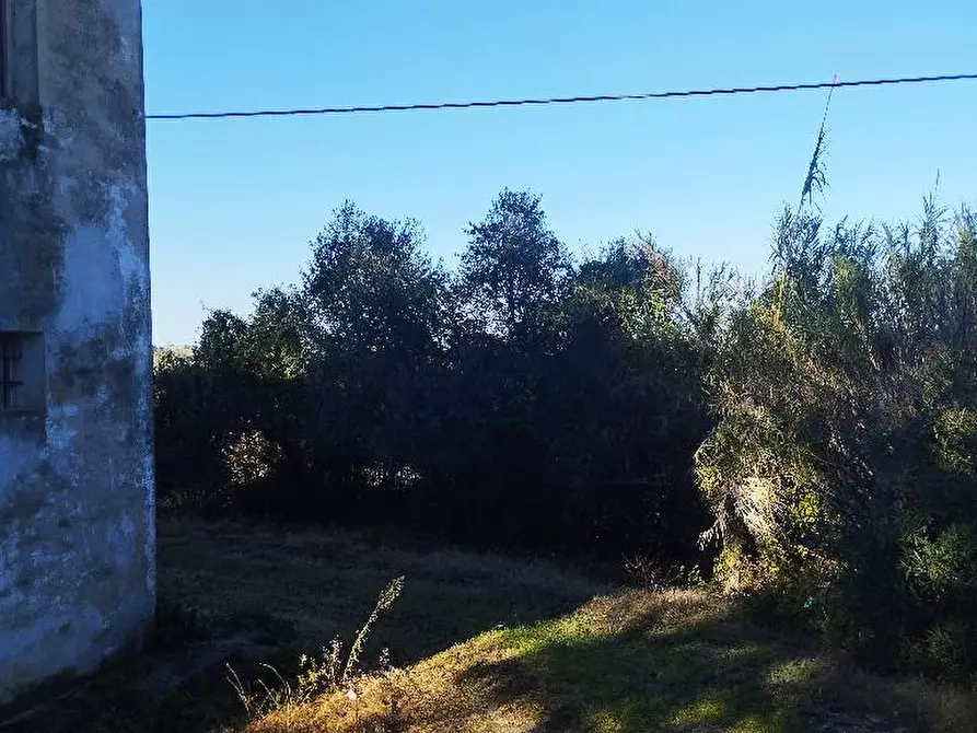 Immagine 29 di Rustico / casale in vendita  in VIA SANGUINETTI a Belvedere Ostrense