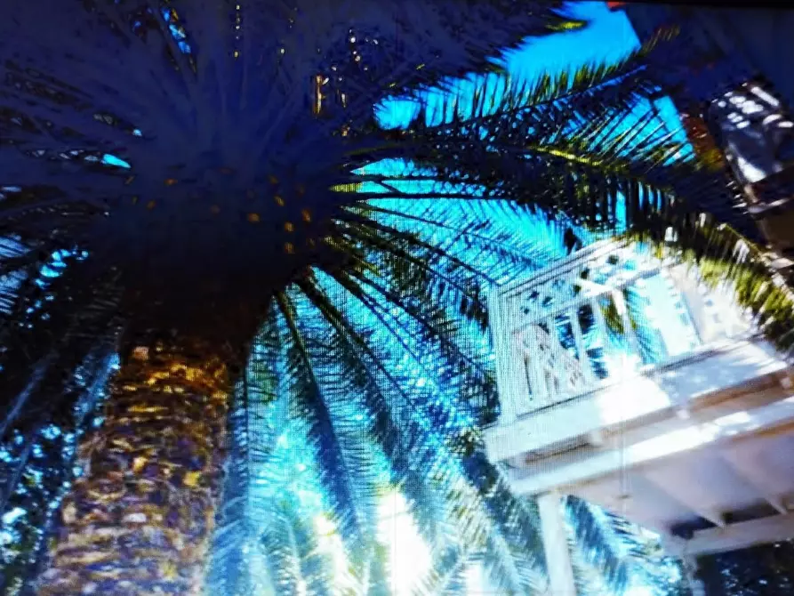 Immagine 13 di Terratetto in vendita  in VIA COLOMBO a Barbara