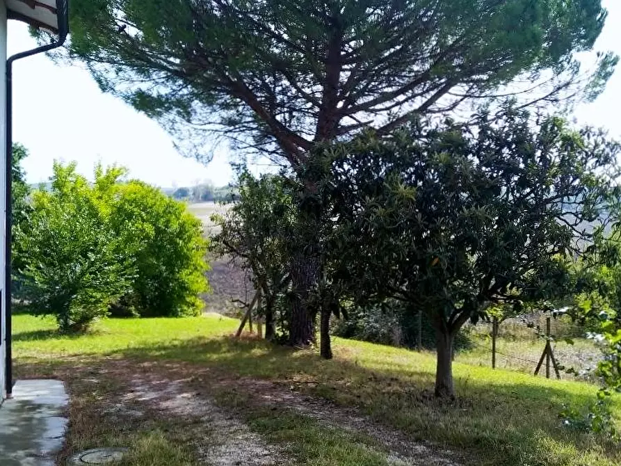 Immagine 3 di Casa indipendente in vendita  in STRADA SAVIGNANO a Senigallia