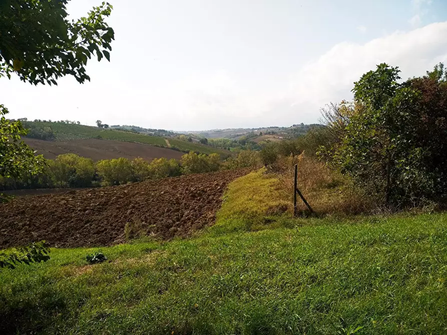Immagine 4 di Casa indipendente in vendita  in STRADA SAVIGNANO a Senigallia