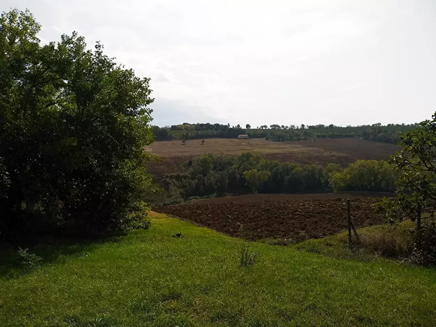 Immagine 5 di Casa indipendente in vendita  in STRADA SAVIGNANO a Senigallia