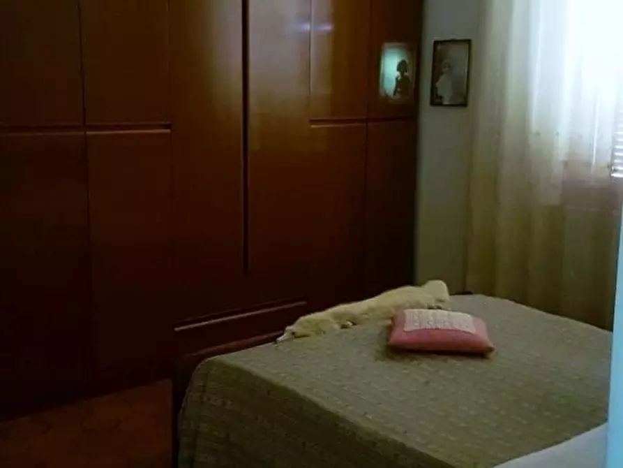 Immagine 8 di Casa indipendente in vendita  in STRADA SAVIGNANO a Senigallia