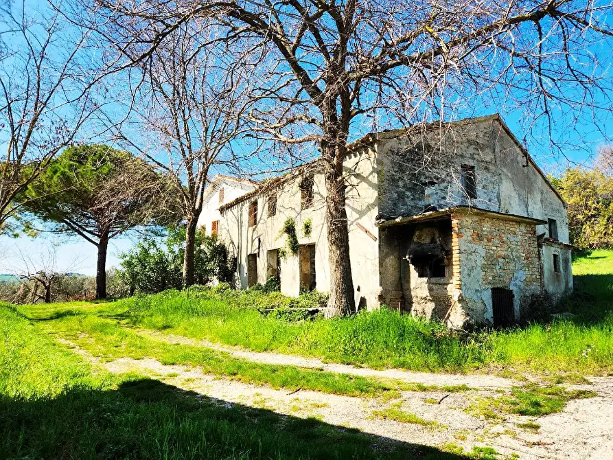 Immagine 16 di Casa indipendente in vendita  in STRADA SAVIGNANO a Senigallia