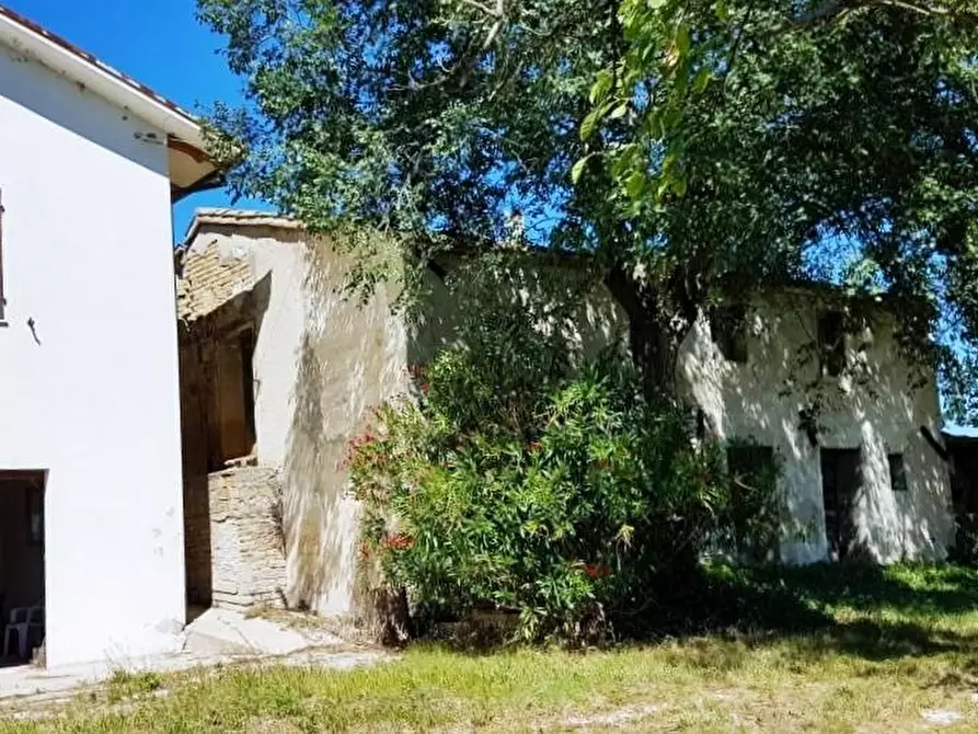 Immagine 14 di Casa indipendente in vendita  in STRADA SAVIGNANO a Senigallia
