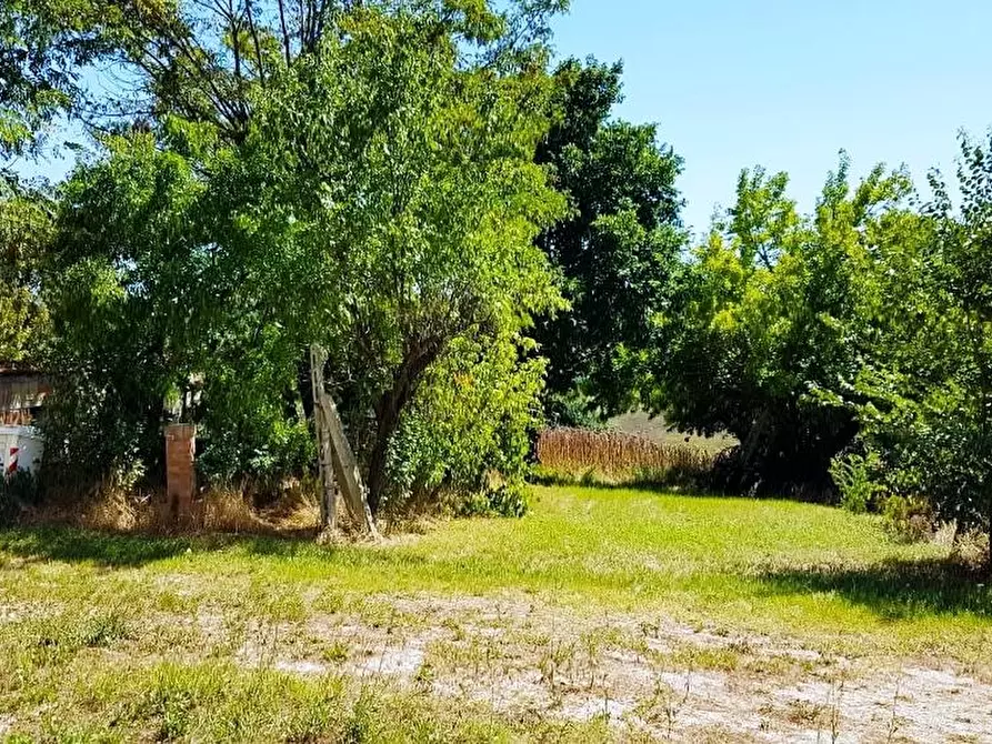 Immagine 16 di Casa indipendente in vendita  in STRADA SAVIGNANO a Senigallia