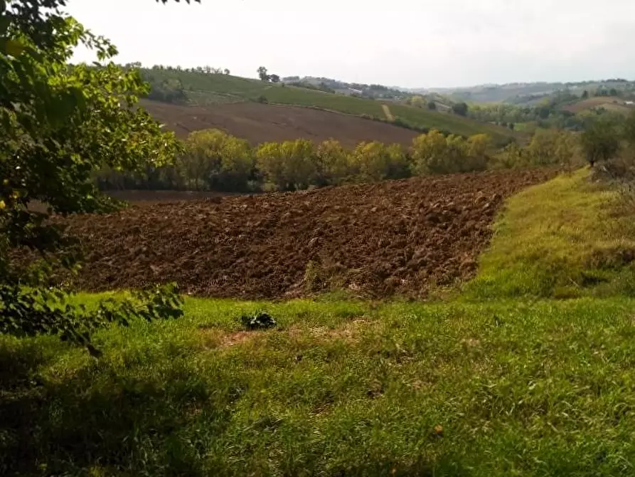 Immagine 18 di Casa indipendente in vendita  in STRADA SAVIGNANO a Senigallia