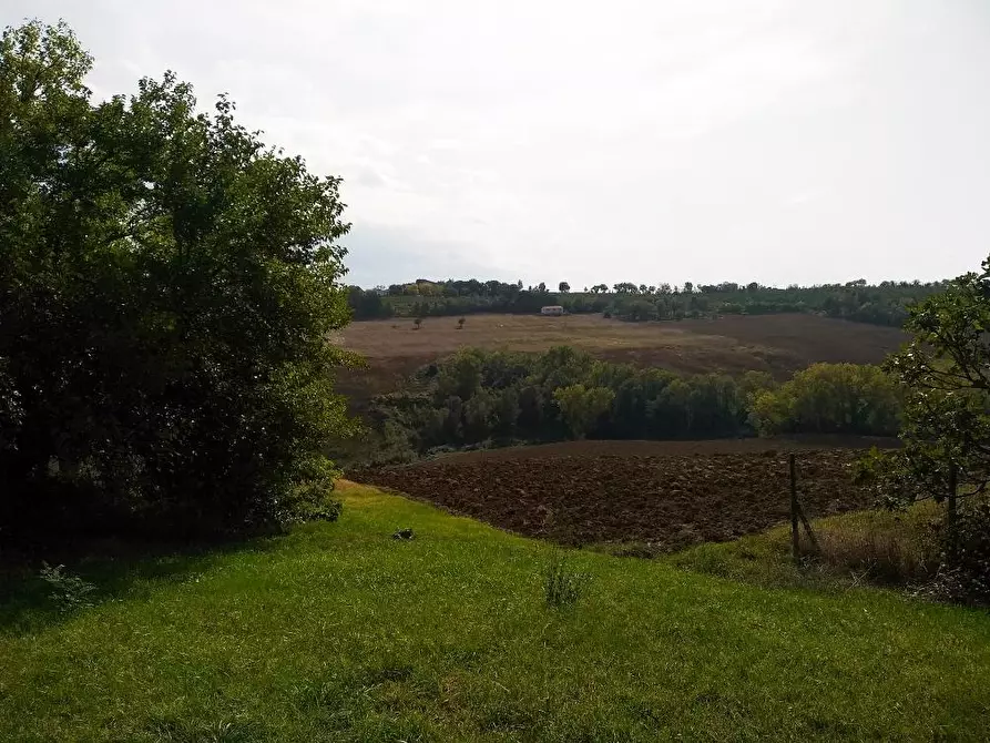 Immagine 19 di Casa indipendente in vendita  in STRADA SAVIGNANO a Senigallia