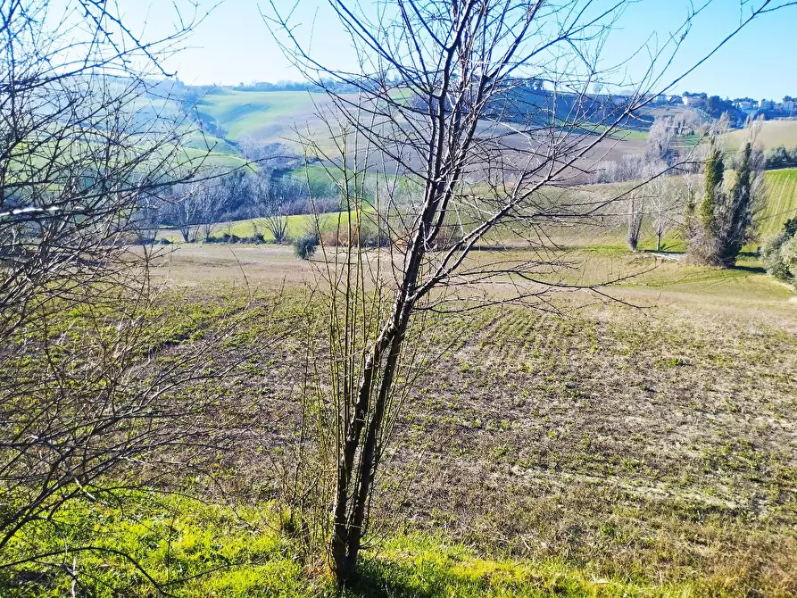 Immagine 10 di Casa colonica in vendita  in CONTRADA FARNETO  a Barbara