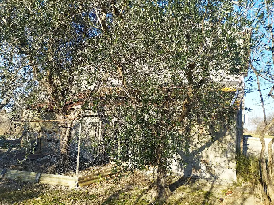 Immagine 18 di Casa colonica in vendita  in CONTRADA FARNETO  a Barbara