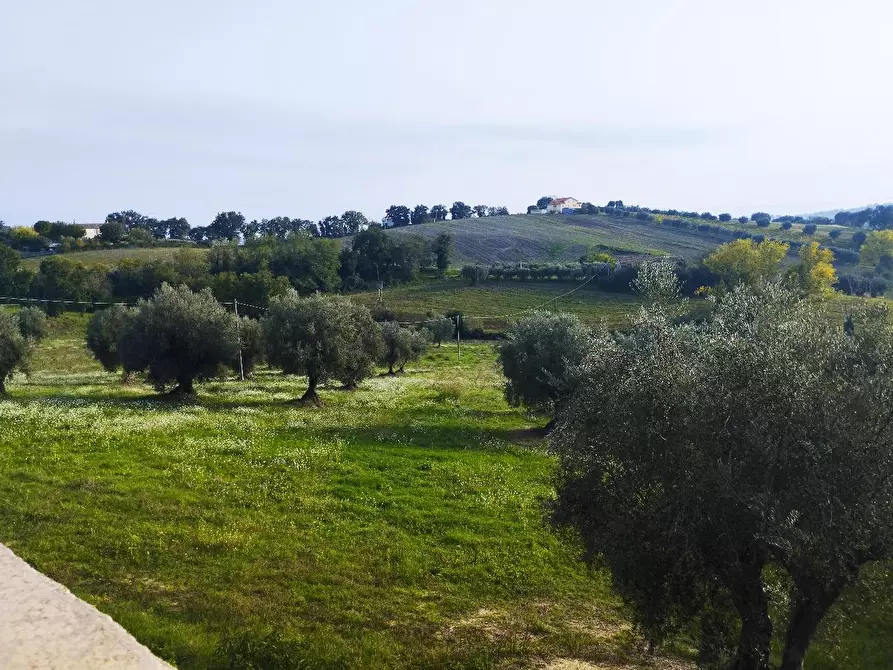 Immagine 6 di Terratetto in vendita  in BORGO SAN GIOVANNI RONCITELLI a Senigallia