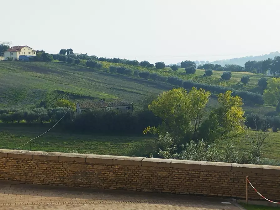 Immagine 7 di Terratetto in vendita  in BORGO SAN GIOVANNI RONCITELLI a Senigallia