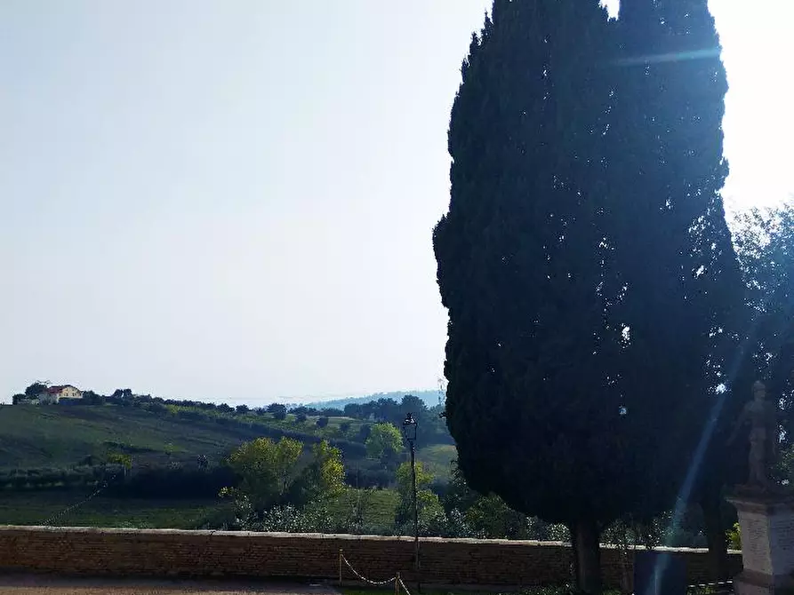 Immagine 8 di Terratetto in vendita  in BORGO SAN GIOVANNI RONCITELLI a Senigallia