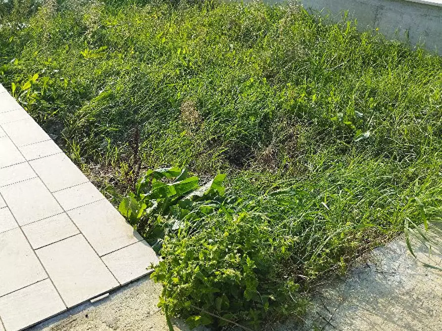 Immagine 6 di Appartamento in vendita  in CESANELLA a Senigallia