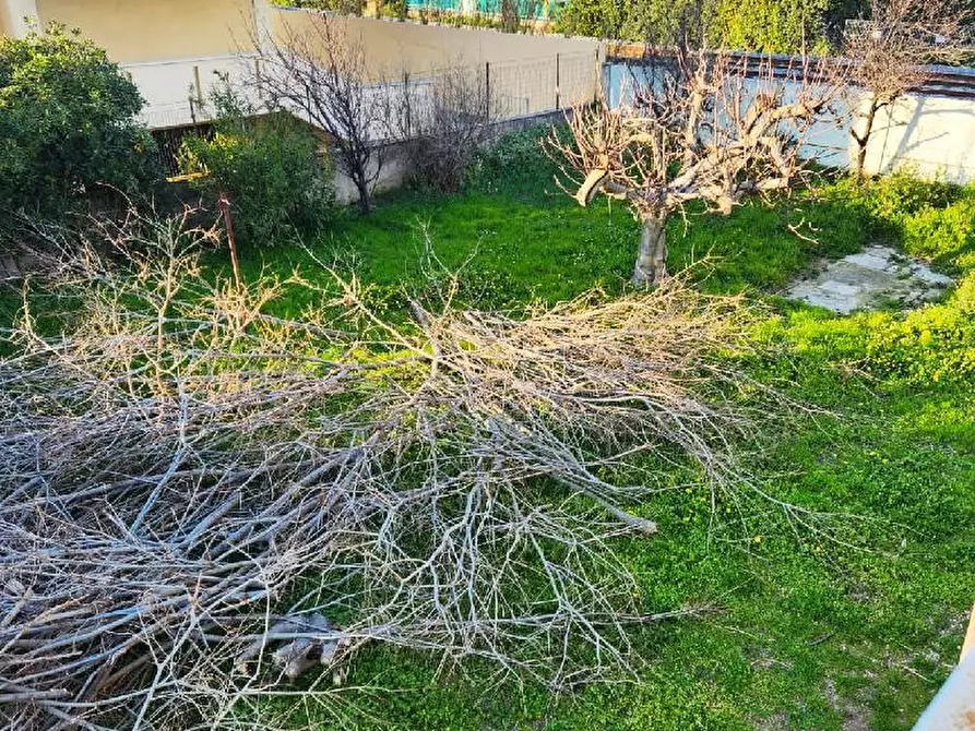 Immagine 7 di Terratetto in vendita  in MARZOCCA a Senigallia