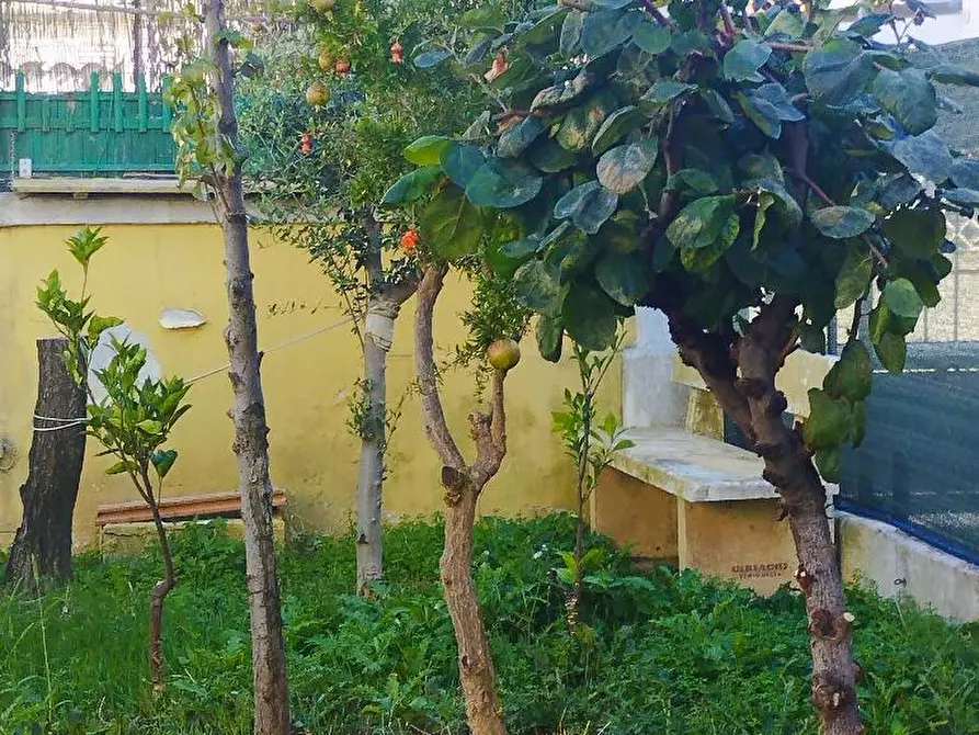 Immagine 27 di Appartamento in vendita  in VIA MAMIANI a Senigallia