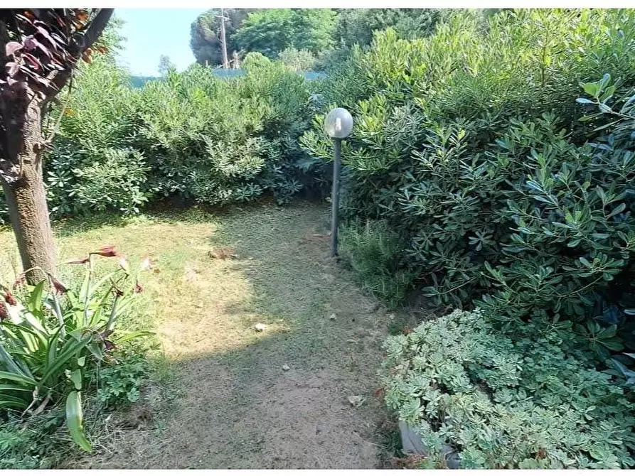 Immagine 13 di Terratetto in vendita  in BORGO PASSERA a Senigallia