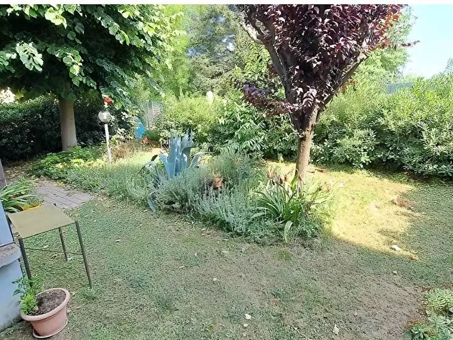 Immagine 14 di Terratetto in vendita  in BORGO PASSERA a Senigallia