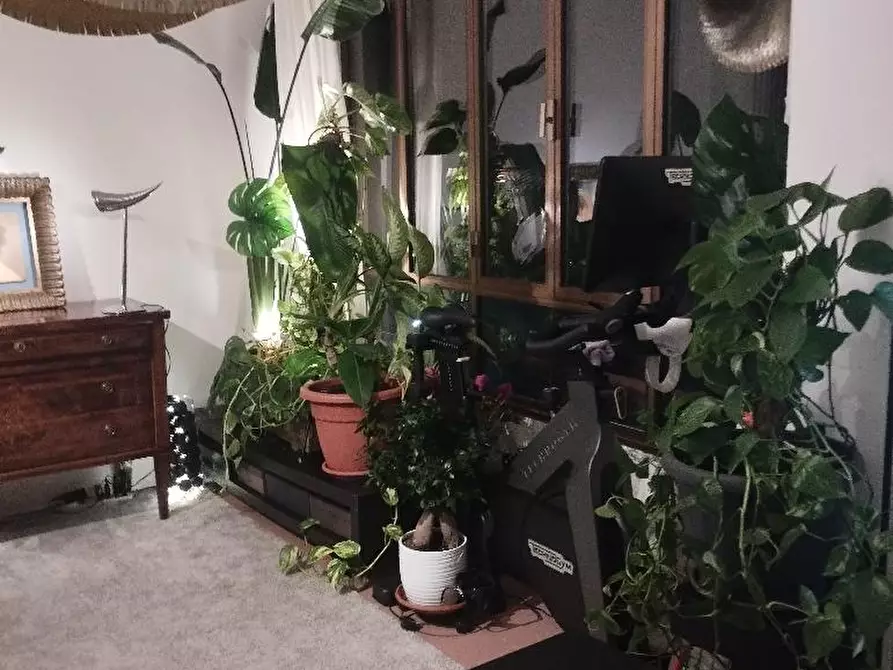 Immagine 2 di Appartamento in affitto  in VIA PIERELLI a Senigallia