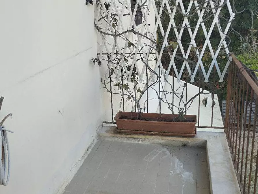 Immagine 10 di Appartamento in affitto  in ZONA PIANO REGOLATORE a Senigallia