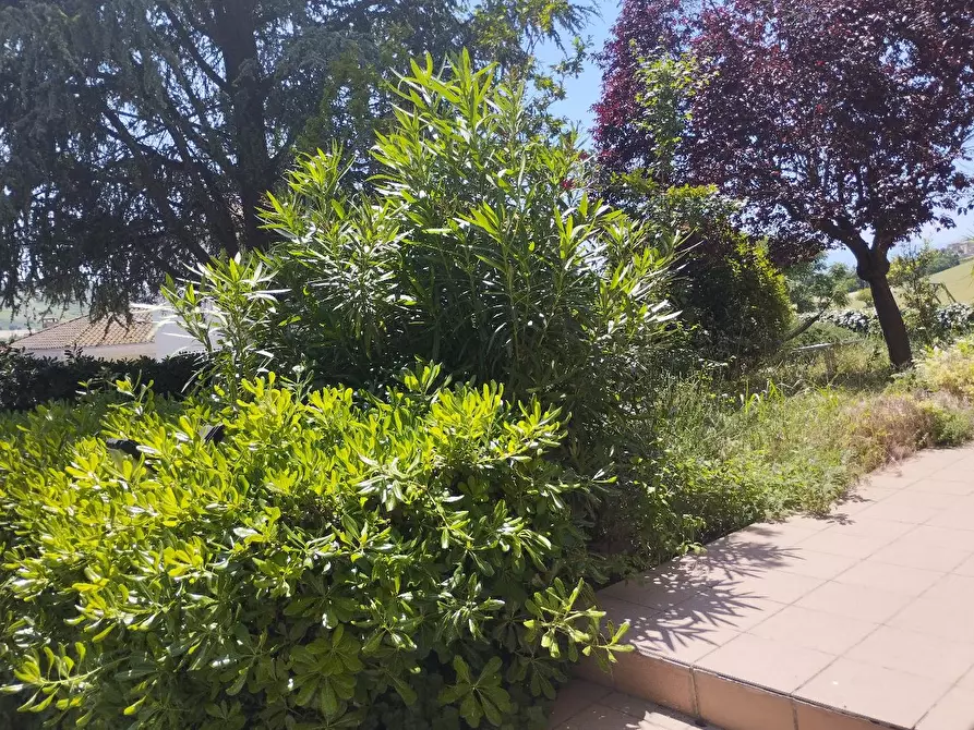 Immagine 1 di Villa in vendita  in CASTELVECCHIO a Barchi