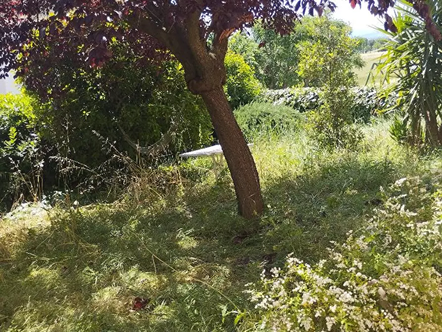 Immagine 16 di Villa in vendita  in CASTELVECCHIO a Barchi