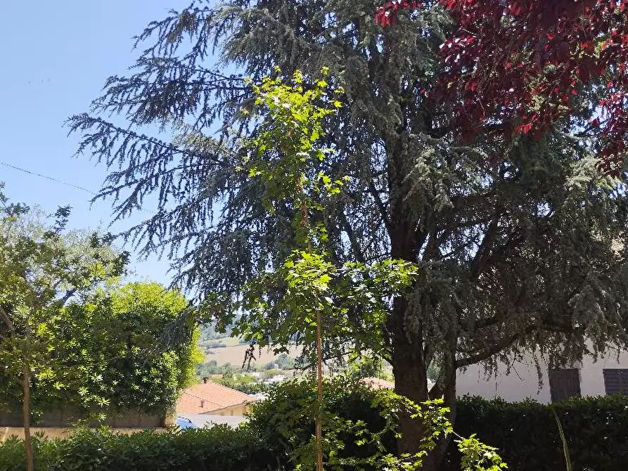Immagine 17 di Villa in vendita  in CASTELVECCHIO a Barchi
