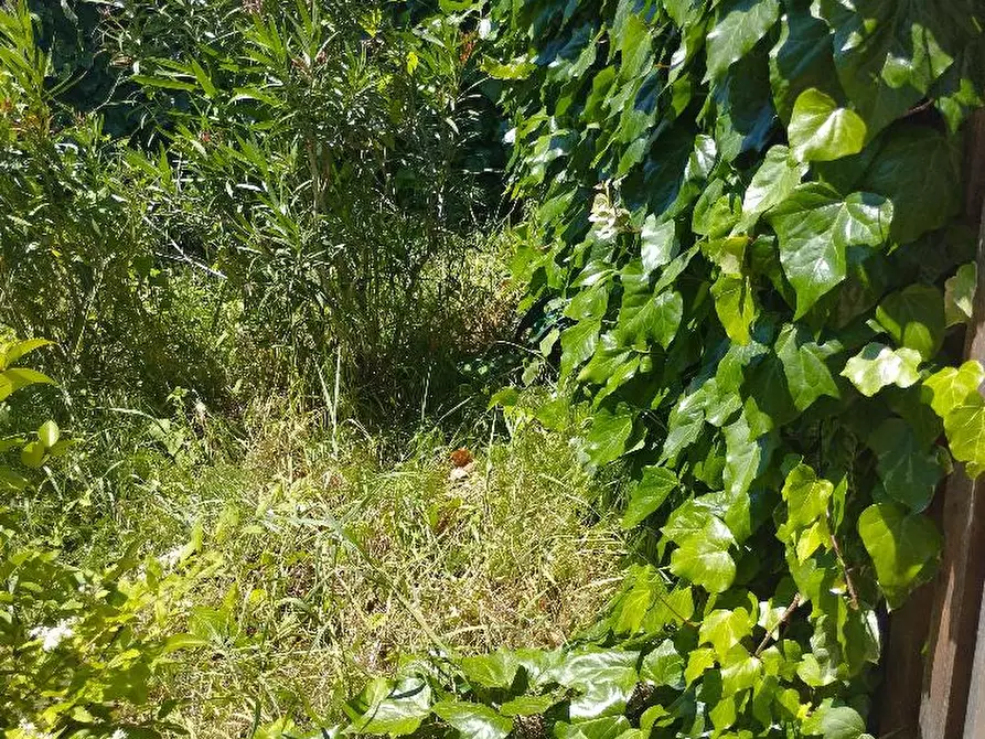 Immagine 19 di Villa in vendita  in CASTELVECCHIO a Barchi