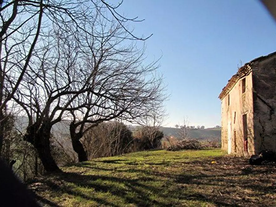 Immagine 5 di Casa indipendente in vendita  in V. MUCCIOLINA, 40 a Agugliano