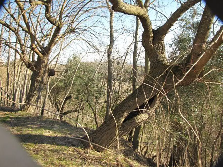 Immagine 7 di Casa indipendente in vendita  in V. MUCCIOLINA, 40 a Agugliano