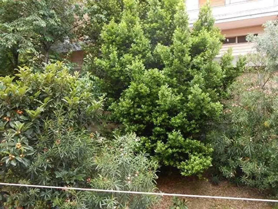 Immagine 30 di Appartamento in vendita  in VIA MARTIRI DELLA RESISTENZA, 63 a Ancona