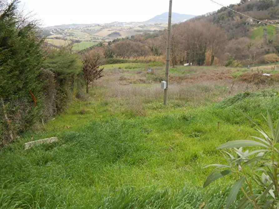 Immagine 4 di Terreno agricolo in vendita  in VIA SAN SEBASTIANO, 130 a Falconara Marittima