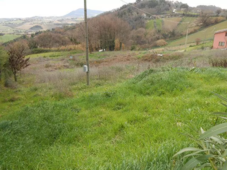Immagine 5 di Terreno agricolo in vendita  in VIA SAN SEBASTIANO, 130 a Falconara Marittima